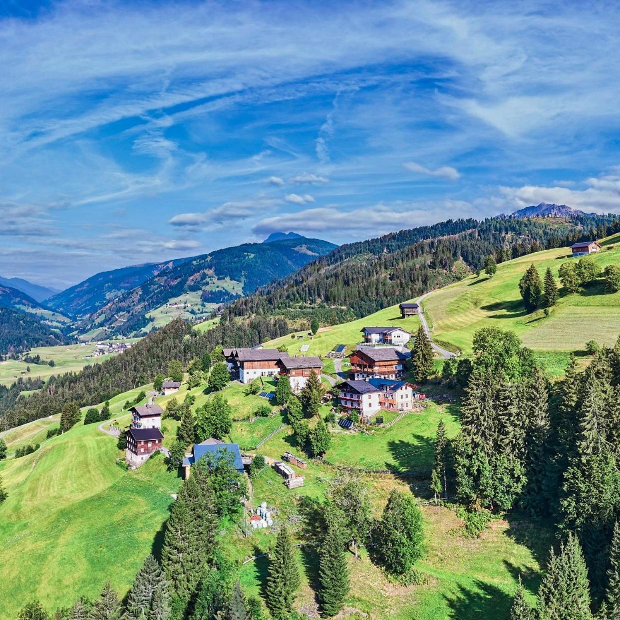 Nigglerhof Apartman Liesing Kültér fotó
